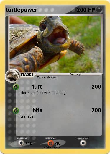 Pokemon turtlepower