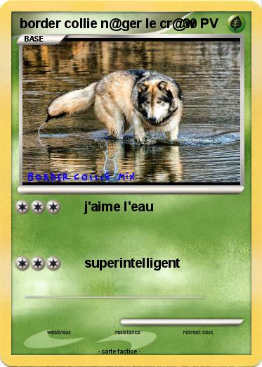 Pokemon border collie n@ger le cr@w