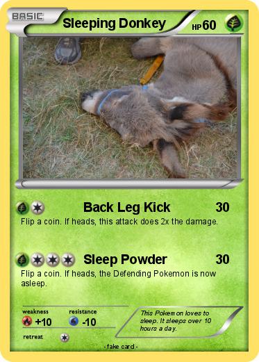 Pokemon Sleeping Donkey