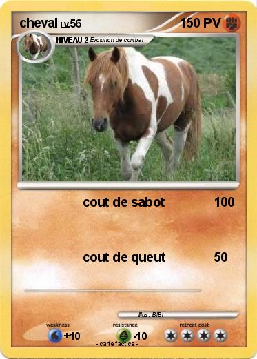 Pokemon cheval