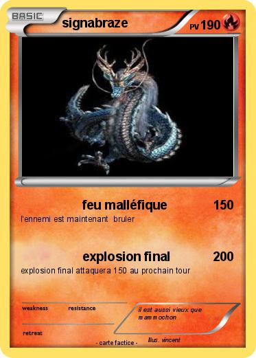 Pokemon signabraze