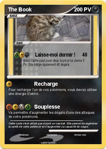 Pokemon The Book