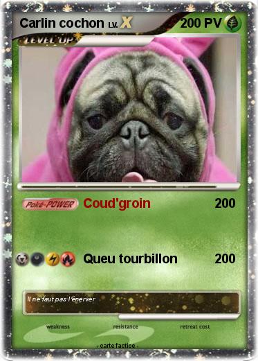 Pokemon Carlin cochon