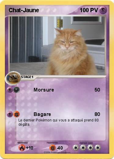 Pokemon Chat-Jaune