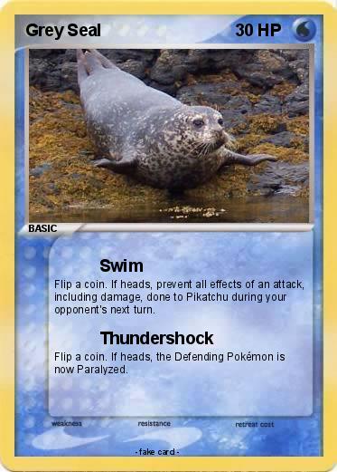 Pokemon Grey Seal