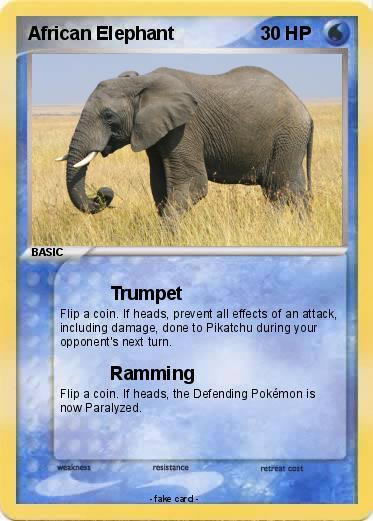 Pokemon African Elephant