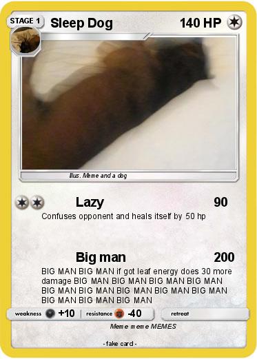 Pokemon Sleep Dog