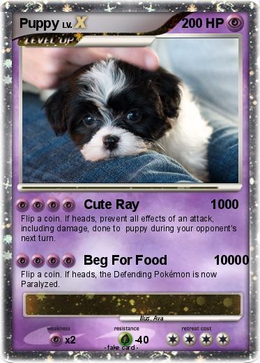 Pokemon Puppy