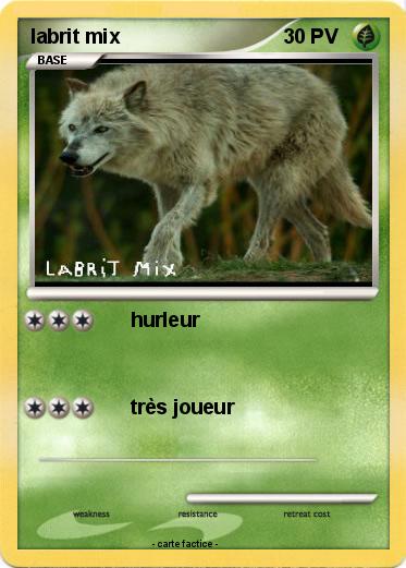 Pokemon labrit mix
