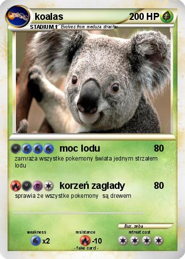Pokemon koalas