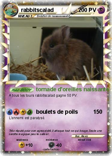 Pokemon rabbitscalad