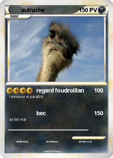Pokemon autruche