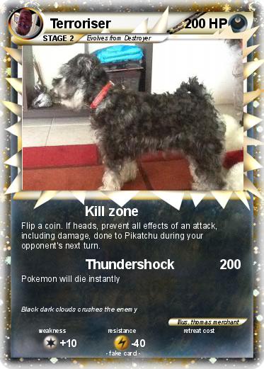 Pokemon Terroriser