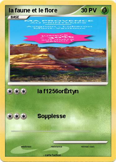 Pokemon la faune et le flore