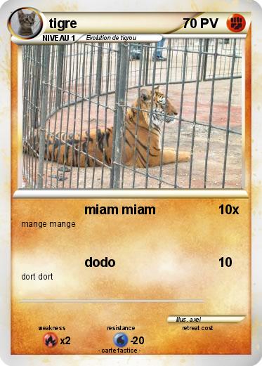 Pokemon tigre