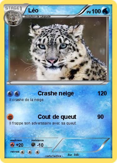 Pokemon Léo