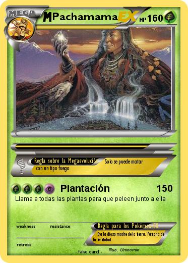 Pokemon Pachamama