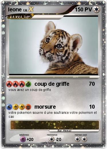 Pokemon leone