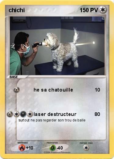 Pokemon chichi
