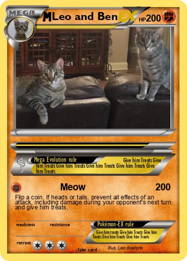 Pokemon Leo and Ben