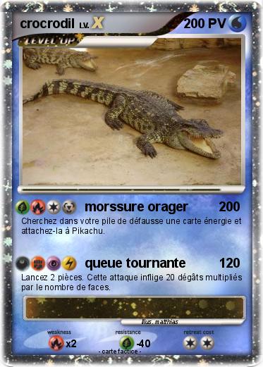 Pokemon crocrodil