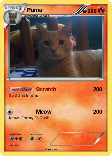 Pokemon Puma