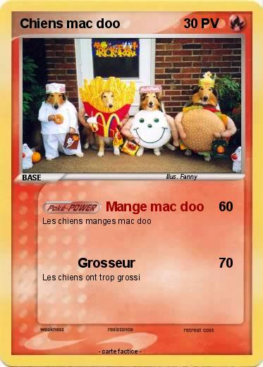 Pokemon Chiens mac doo