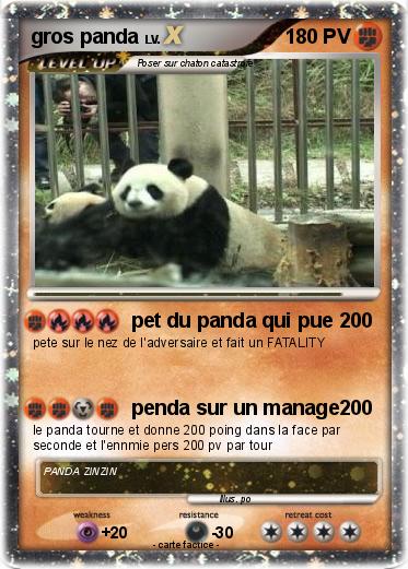 Pokemon gros panda