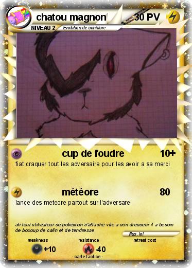 Pokemon chatou magnon