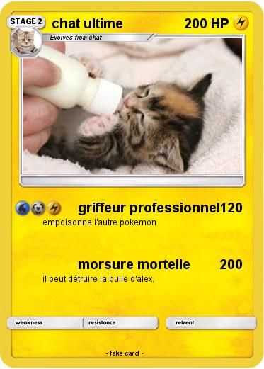 Pokemon chat ultime
