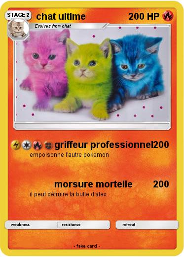 Pokemon chat ultime