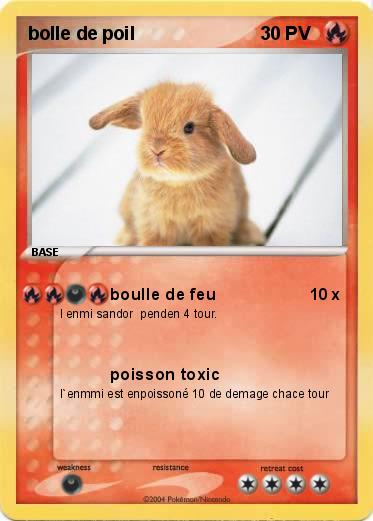 Pokemon bolle de poil