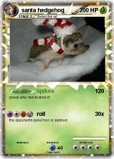 Pokemon santa hedgehog