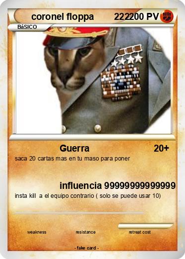 Pokemon coronel floppa        222