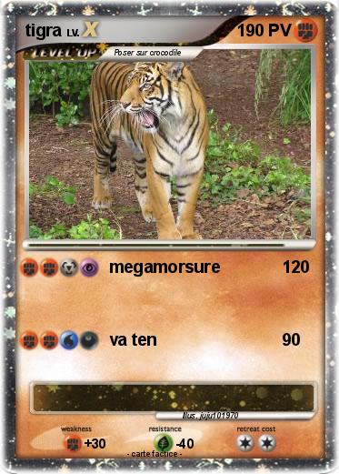 Pokemon tigra