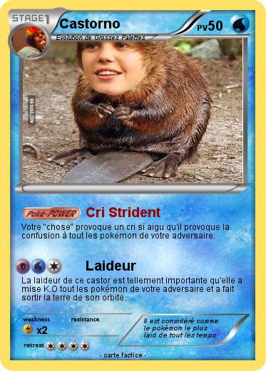 Pokemon Castorno