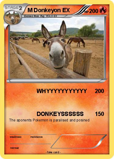 Pokemon M Donkeyon EX