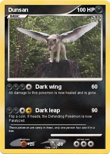 Pokemon Dunsan