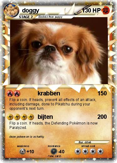 Pokemon doggy