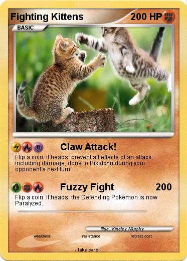 Pokemon Fighting Kittens