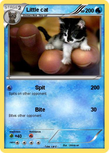 Pokemon Little cat