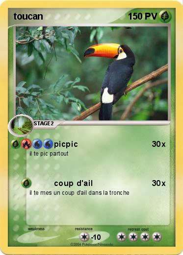Pokemon toucan