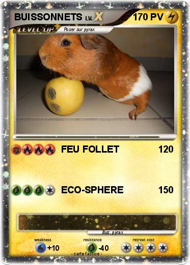 Pokemon BUISSONNETS