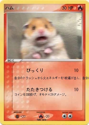Pokemon ハム