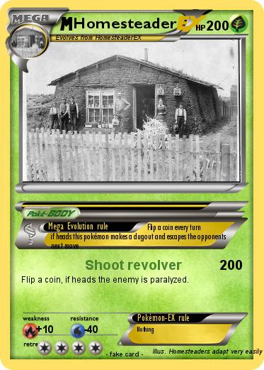 Pokemon Homesteader