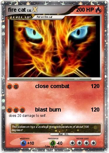 Pokemon fire cat