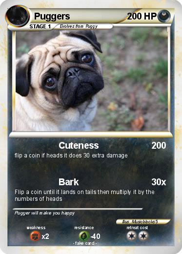 Pokemon Puggers