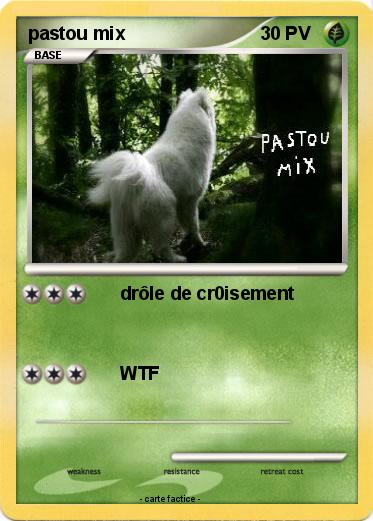 Pokemon pastou mix