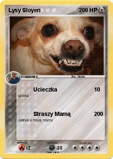 Pokemon Łysy Sloyen