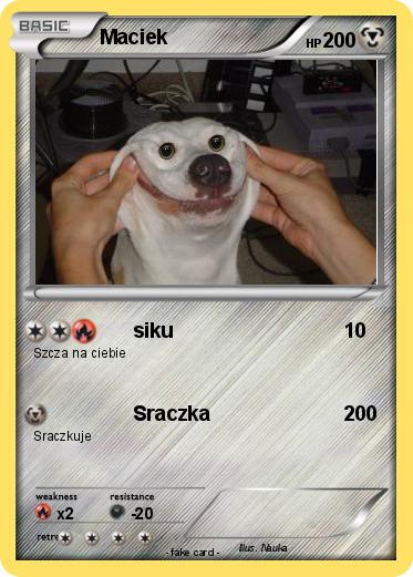 Pokemon Maciek